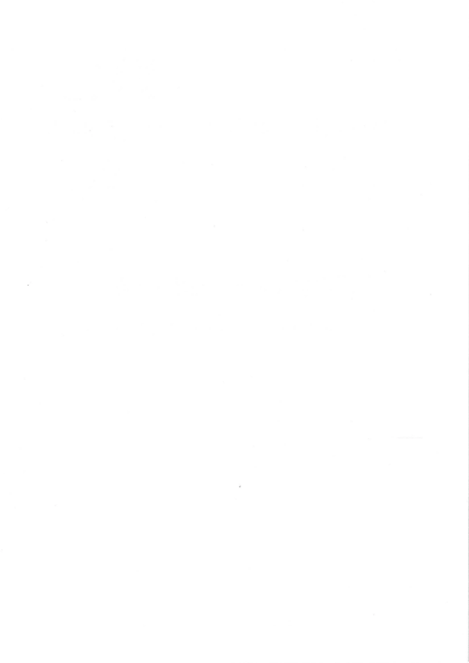 DLT 1216-2019 低压静止无功发生装置技术规范.pdf_第2页