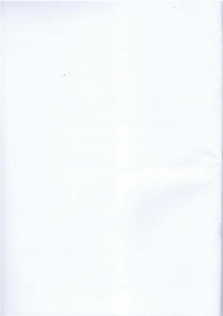 DL∕T 1796-2017 低压有源电力滤波器技术规范.pdf.pdf_第2页