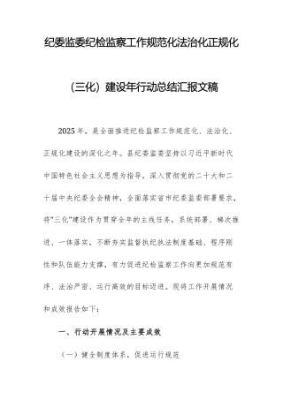 纪委监委纪检监察工作规范化法治化正规化（三化）建设年行动总结汇报文稿.docx