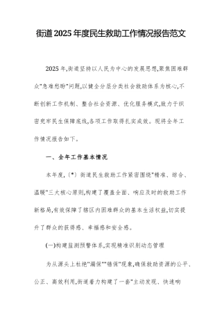 街道2025年度民生救助工作情况报告范文.docx