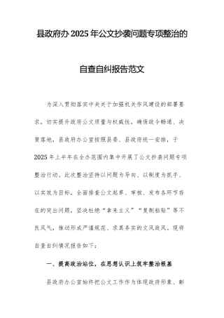 县政府办2025年公文抄袭问题专项整治的自查自纠报告范文.docx
