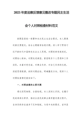 2025年度巡察反馈意见整改专题民主生活会个人对照检查材料范文.docx