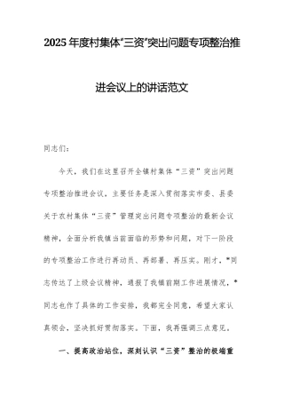 2025年度村集体“三资”突出问题专项整治推进会议上的讲话范文.docx