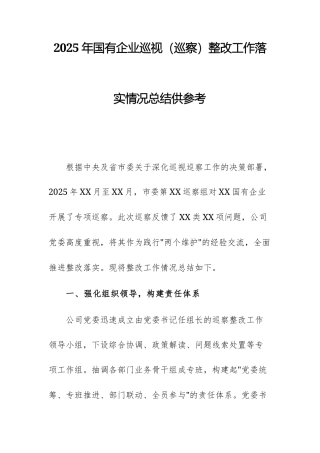 2025年国有企业巡视（巡察）整改工作落实情况总结供参考.docx