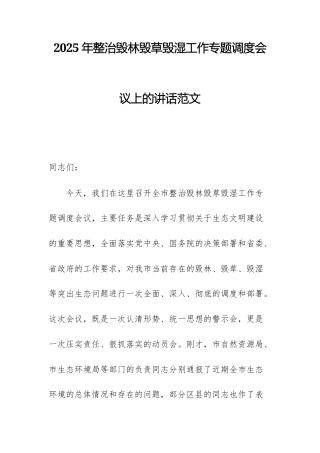 2025年整治毁林毁草毁湿工作专题调度会议上的讲话范文.docx