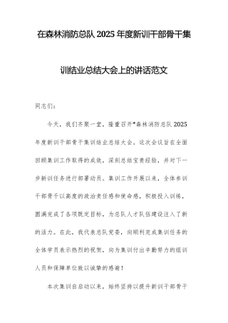 在森林消防总队2025年度新训干部骨干集训结业总结大会上的讲话范文.docx