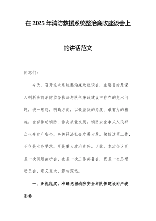 在2025年消防救援系统整治廉政座谈会上的讲话范文.docx