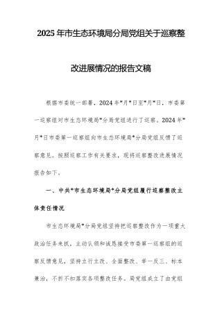 2025年生态环境主管部门党组关于巡察整改进展情况的报告文稿.docx