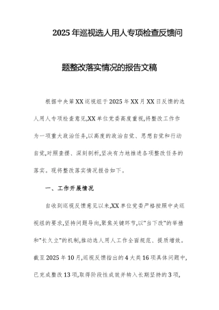 2025年巡查选人用人专项检查反馈问题整改落实情况的报告文稿.docx