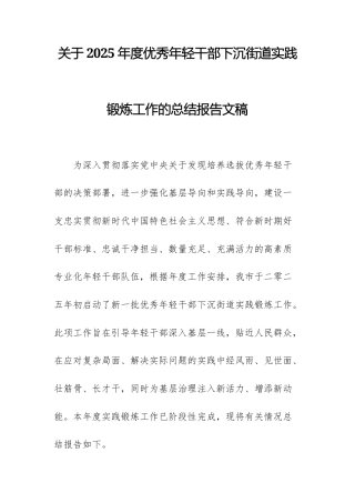 关于2025年度优秀年轻干部下沉街道实践锻炼工作的总结报告文稿.docx