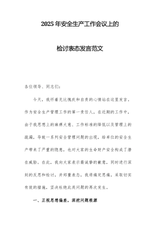 2025年安全生产工作会议上的检讨表态发言范文.docx