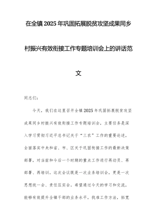 在2025年巩固拓展脱贫攻坚成果同乡村振兴有效衔接工作专题培训会上的讲话范文.docx