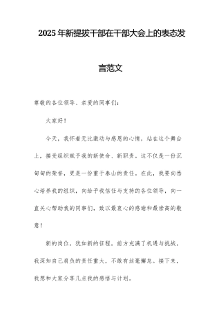 2025年新提拔干部在干部大会上的表态发言范文.docx