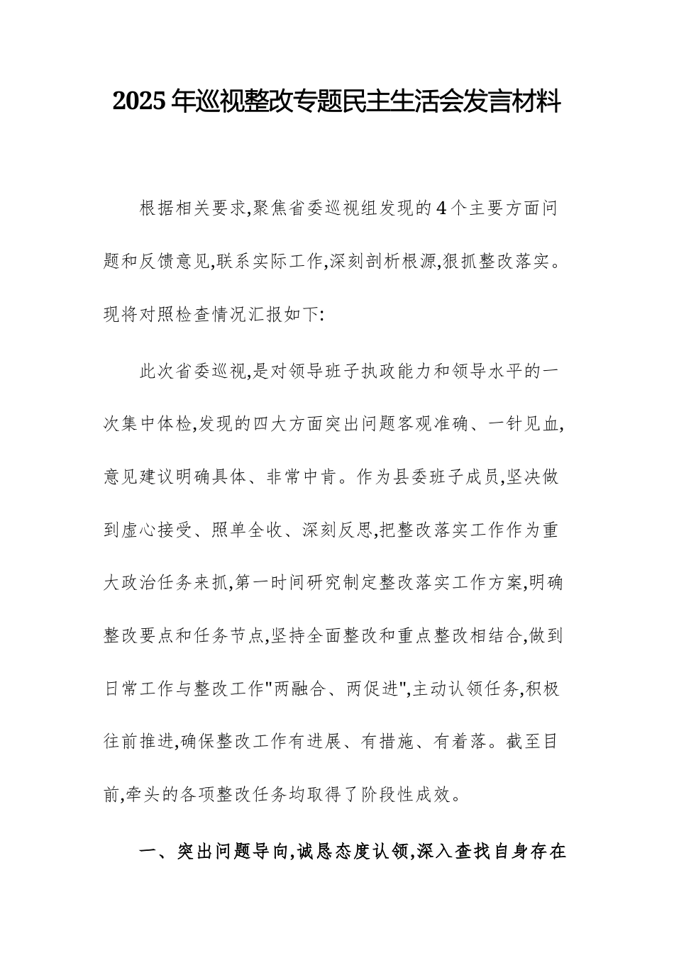 2025年巡视整改专题民主生活会发言材料.docx_第1页