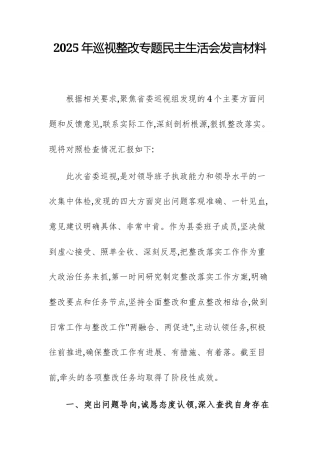 2025年巡视整改专题民主生活会发言材料.docx