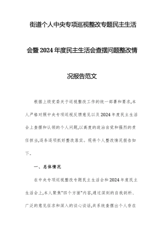街道个人中央专项巡视整改专题民主生活会暨2024年度民主生活会查摆问题整改情况报告范文.docx