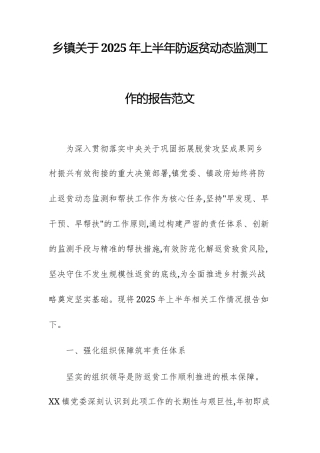 乡关于2025年上半年防返贫动态监测工作的报告范文.docx