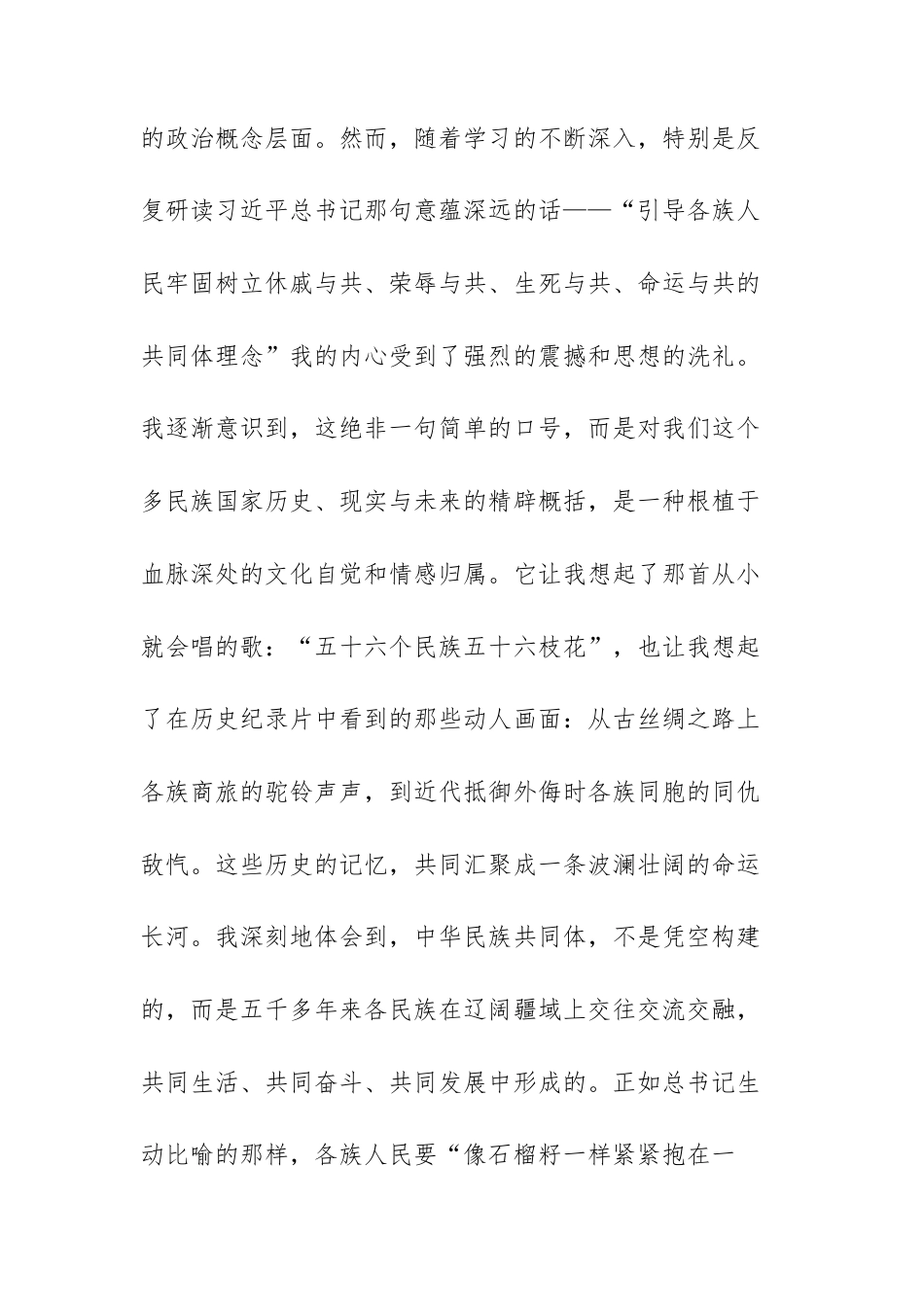 2025年金融办干部在铸牢中华民族共同体意识专题研讨会上的发言材料文稿.docx_第2页