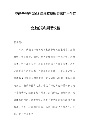 党员干部在2025年巡察整改专题民主生活会上的总结讲话文稿.docx