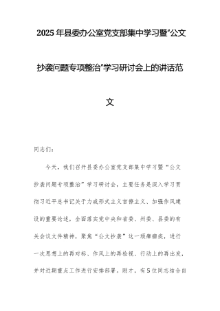 2025年办公室集中学习暨“公文抄袭问题专项整治”学习研讨会上的讲话范文.docx