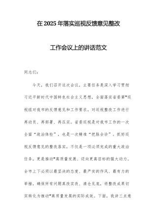 在2025年落实巡视反馈意见整改工作会议上的讲话范文.docx