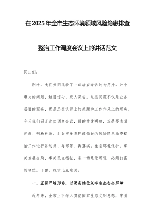 在2025年生态环境领域风险隐患排查整治工作调度会议上的讲话范文.docx