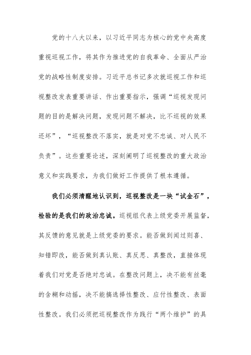 在2025年研究部署巡视整改工作专题会议上的讲话范文.docx_第3页
