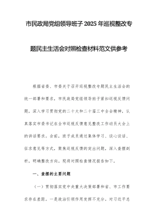 民政部门党组领导班子2025年巡查整改专题民主生活会对照检查材料范文供参考.docx