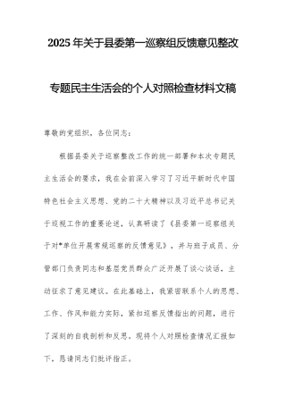 2025年关于第一巡察组反馈意见整改专题民主生活会的个人对照检查材料文稿.docx