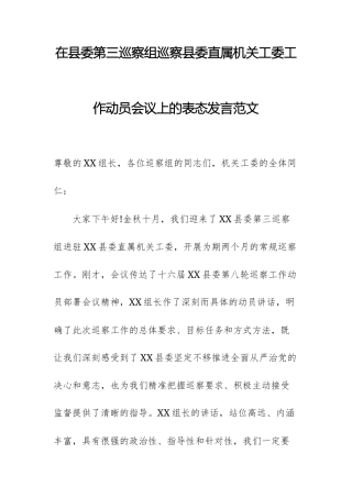 2025年在巡察组巡察直属机关工委工作动员会议上的表态发言范文.docx