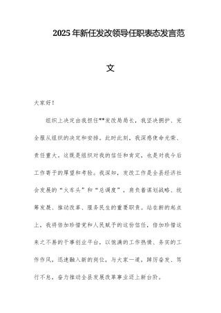 2025年新任发改领导任职表态发言范文.docx