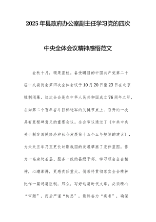 2025年办公室副主任学习党的四次中央全体会议精神感悟范文.docx