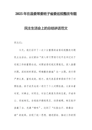 2025年在机关班子上级巡查整改专题民主生活会上的总结讲话范文.docx