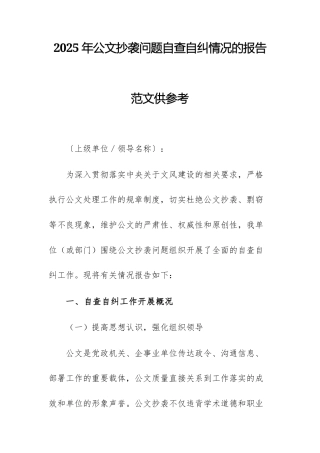 2025年公文抄袭问题自查自纠情况的报告范文供参考.docx