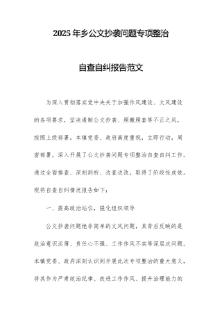 2025年乡公文抄袭问题专项整治自查自纠报告范文.docx