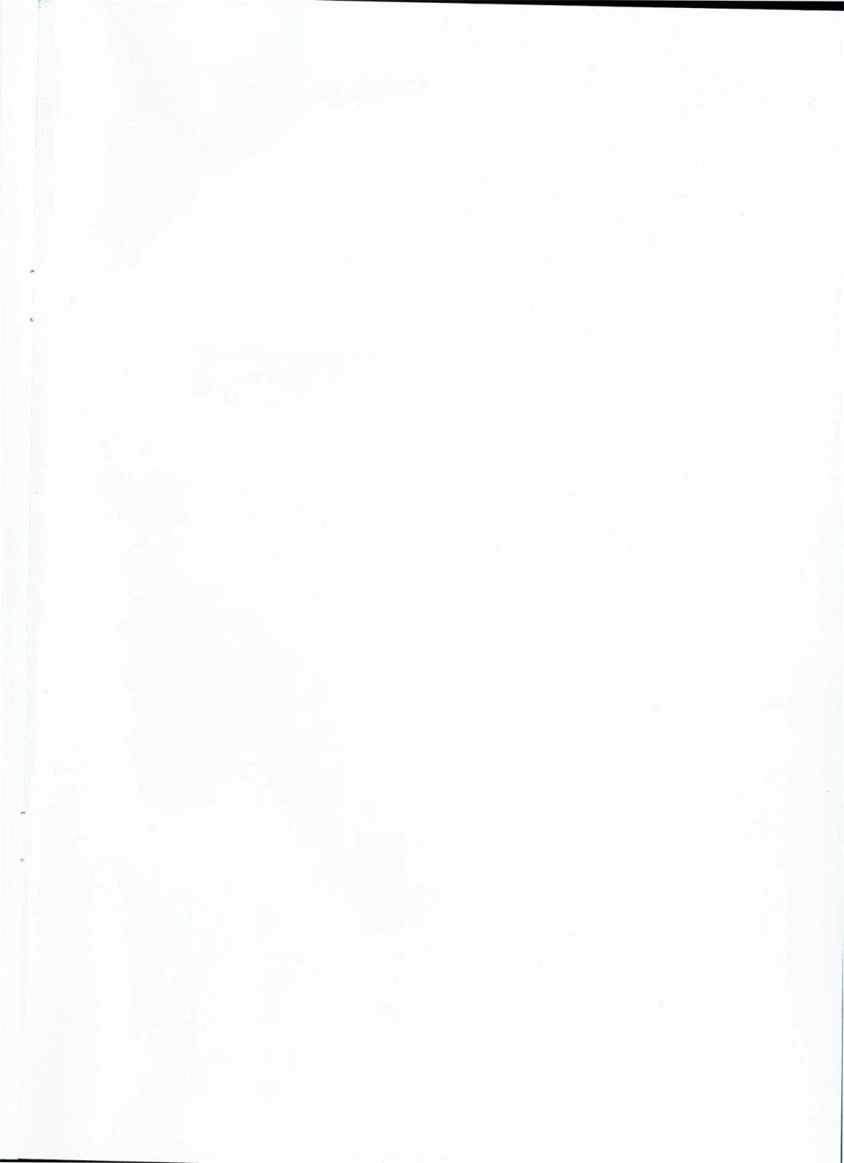 HG∕T 2018-2014 轻便胶鞋.pdf_第2页