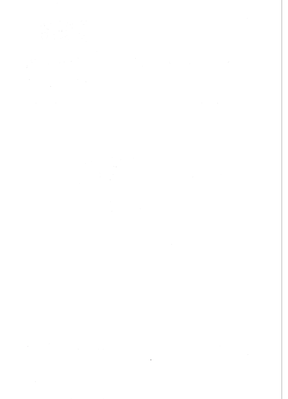 (行业标准)NB╱T 47013.8-2015 压设备无损检测第8部分：泄漏检测.pdf_第2页