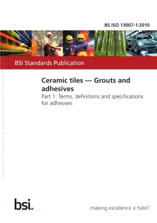 BSISO13007-1-2010.pdf