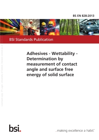 BSEN828-2013.pdf