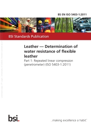 BSENISO5403-1-2011.pdf