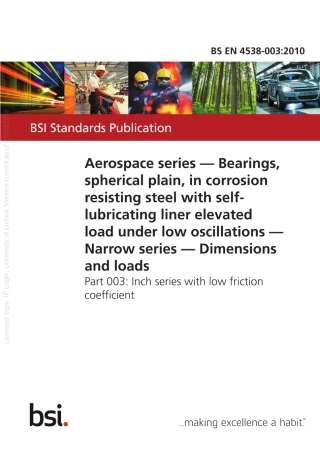 BSEN4538-003-2010.pdf