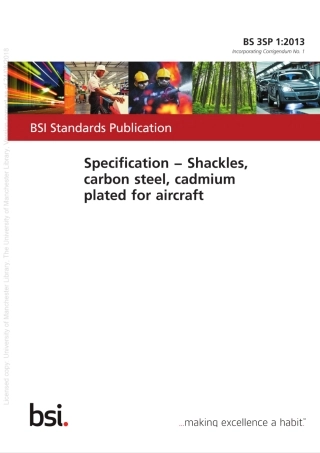 BS3SP1-2013.pdf