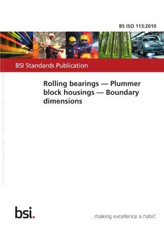 BSISO113-2010.pdf