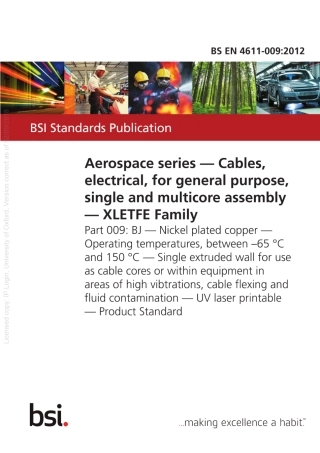 BSEN4611-009-2012.pdf