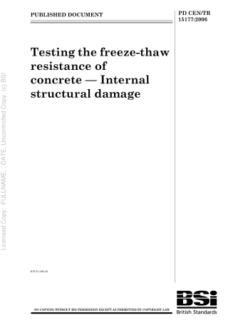 PD CEN TR 15177 2006.pdf