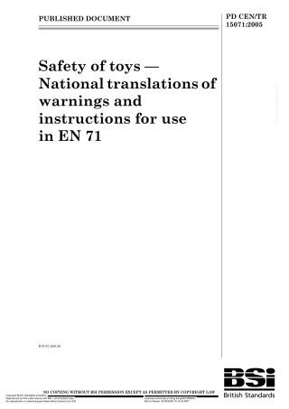 PD CEN TR 15071-2005.pdf