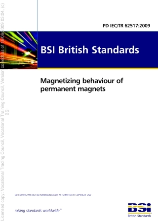 PD IEC TR 62517 2009  magnetic behaviour.pdf