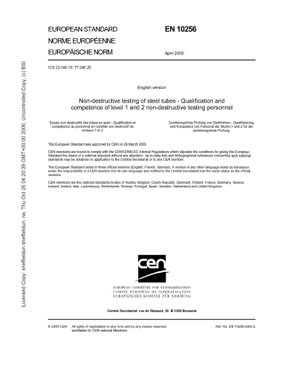 EN 10256.pdf