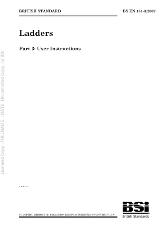 BS EN 131-3 2007.pdf