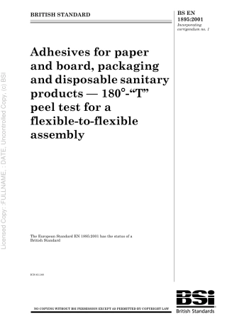 BS EN 1895 2001.pdf